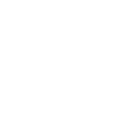 Review Your Options
