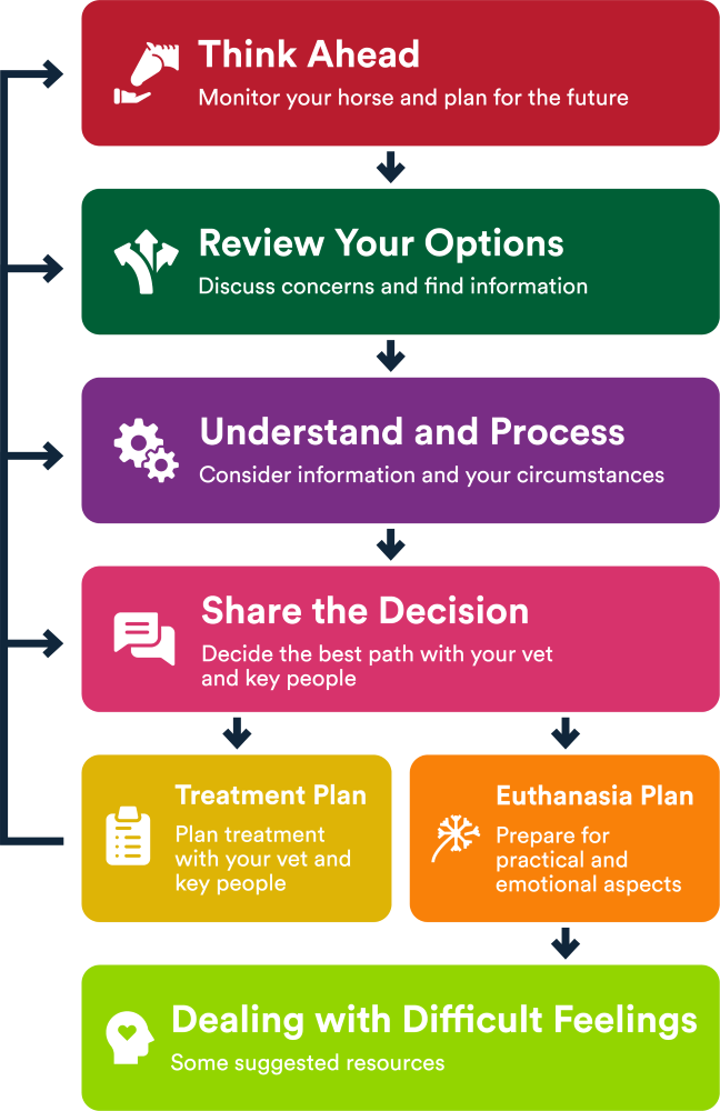 Your TRUSTED Guide FlowChart